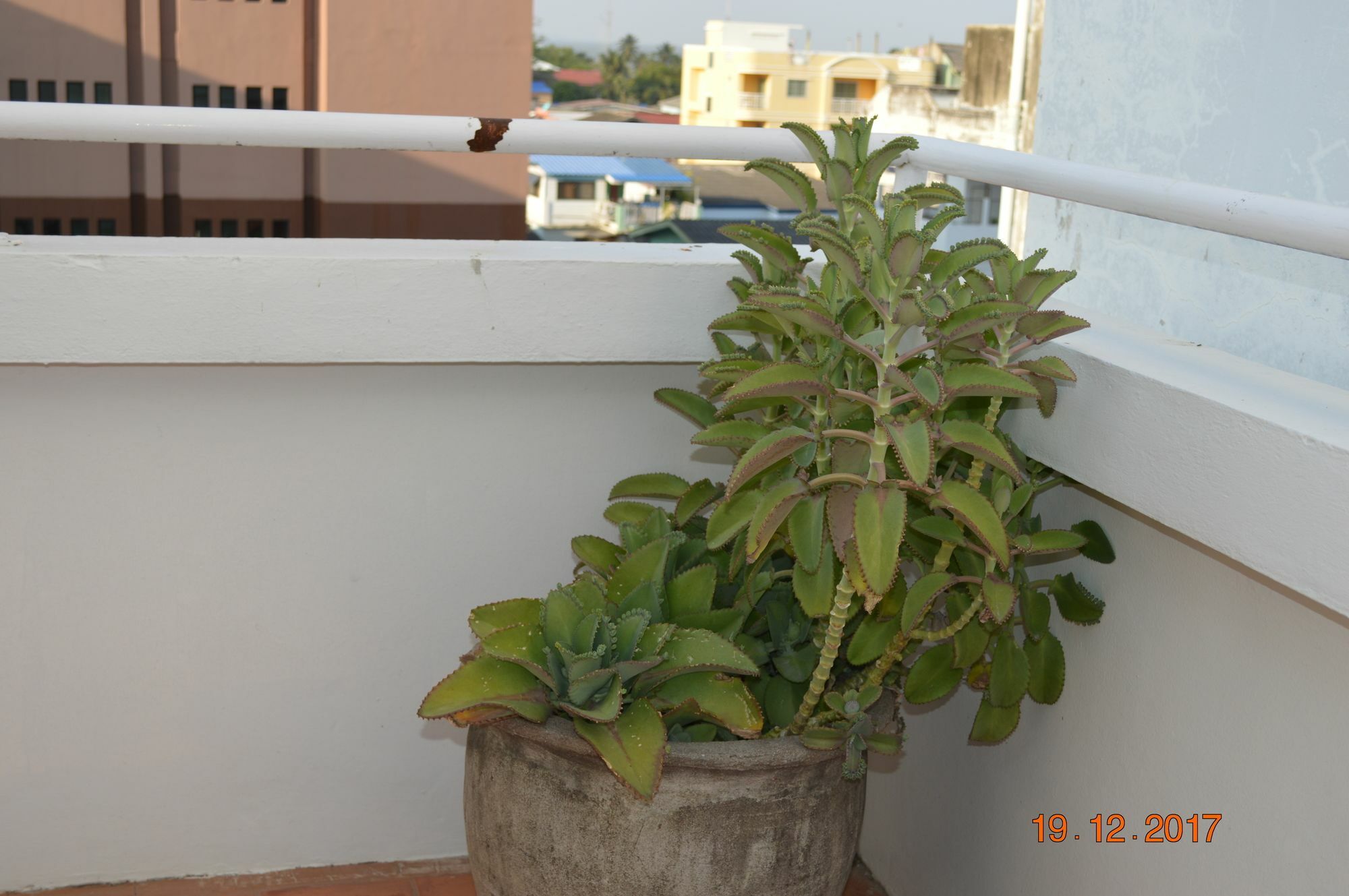 Tongmee Guest house